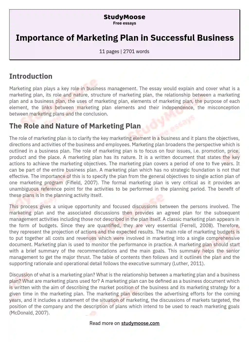 Importance of Marketing Plan in Successful Business essay