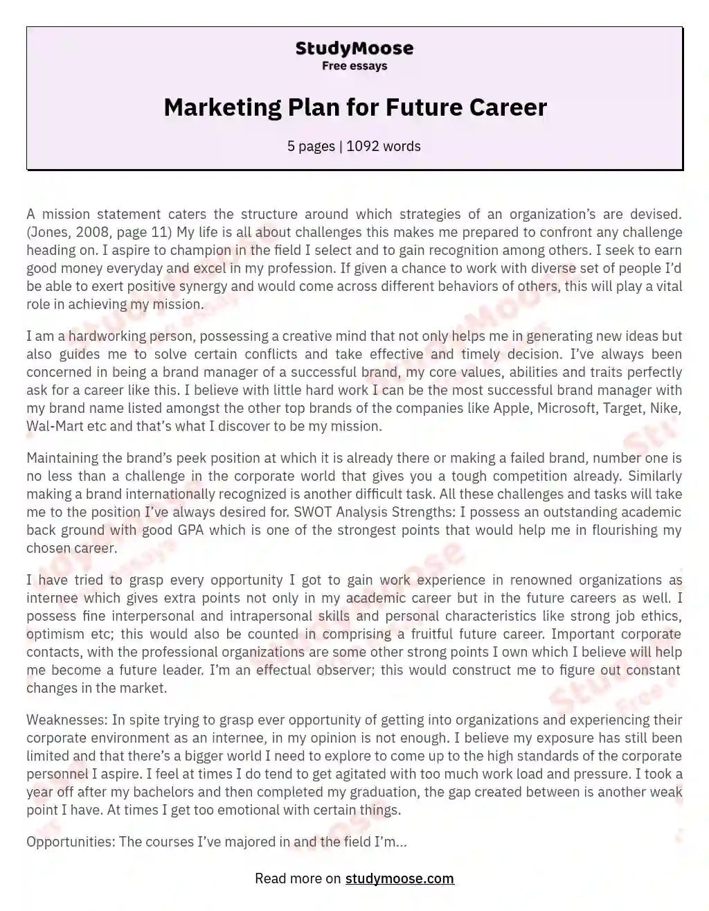 Marketing Plan for Future Career essay