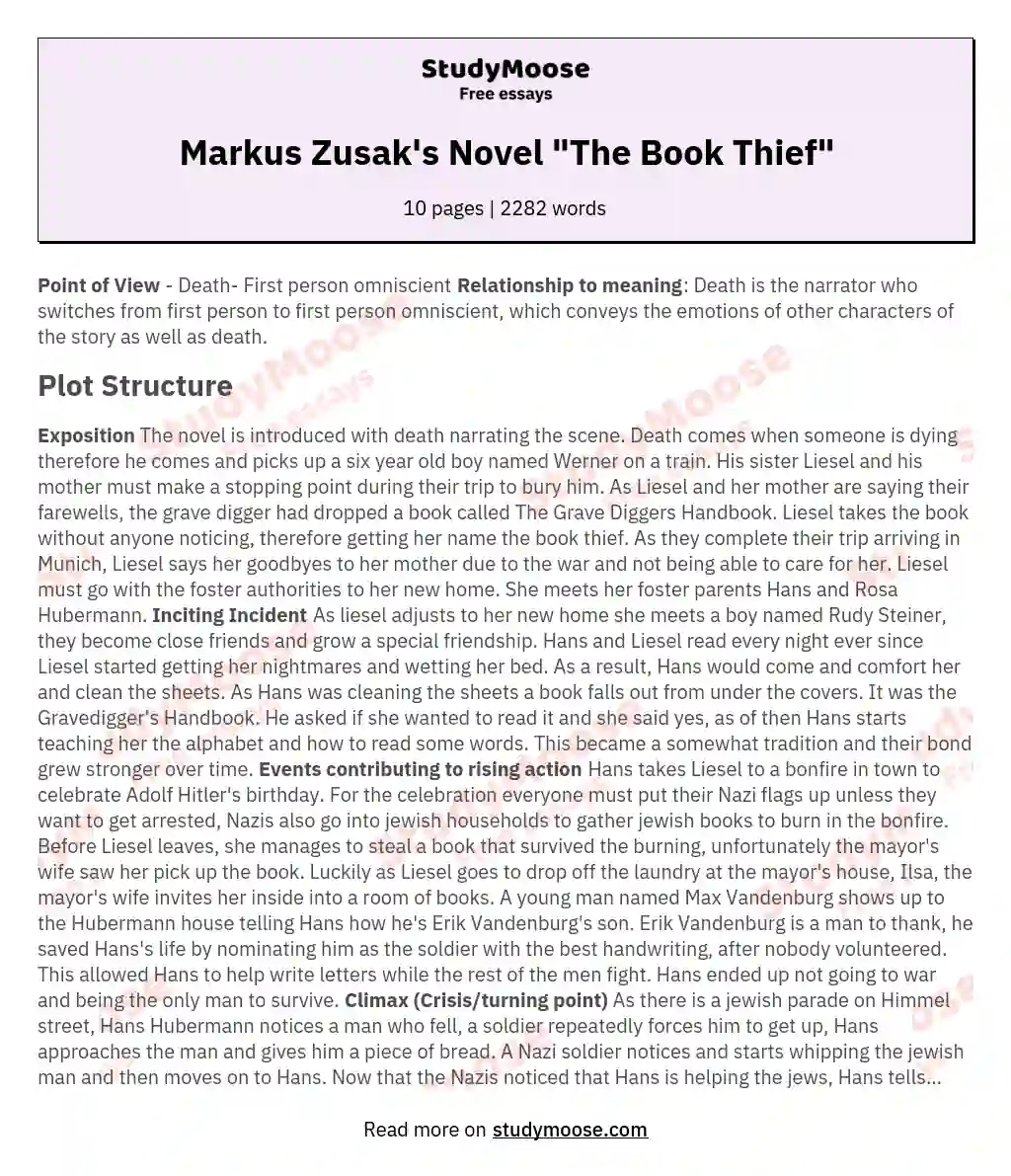 Markus Zusak's Novel "The Book Thief" essay