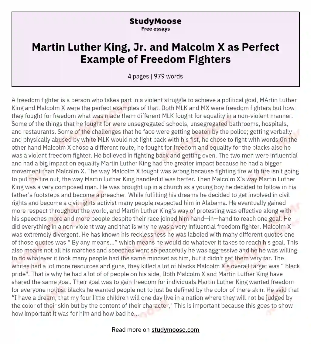 Martin Luther King, Jr. and Malcolm X as Perfect Example of Freedom Fighters essay
