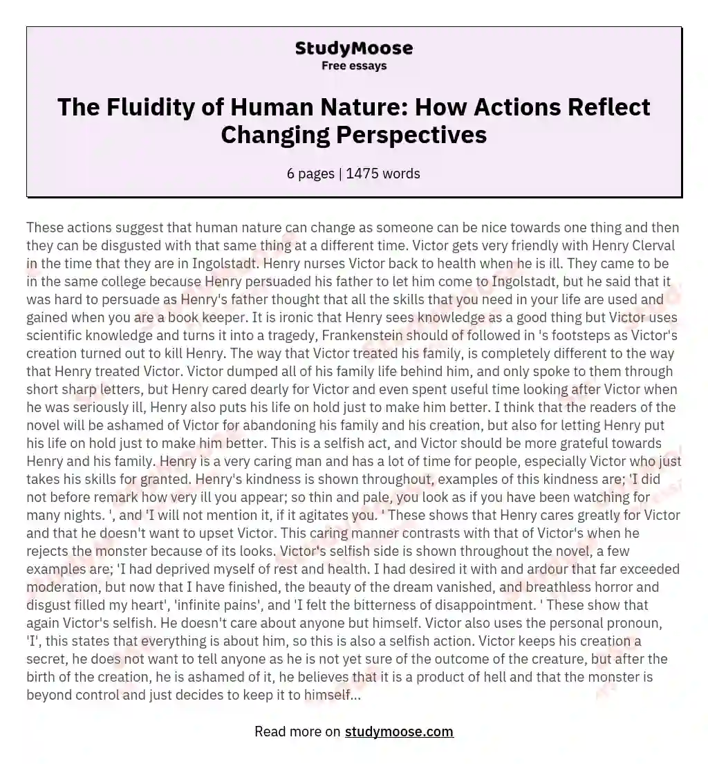 The Fluidity of Human Nature: How Actions Reflect Changing Perspectives essay