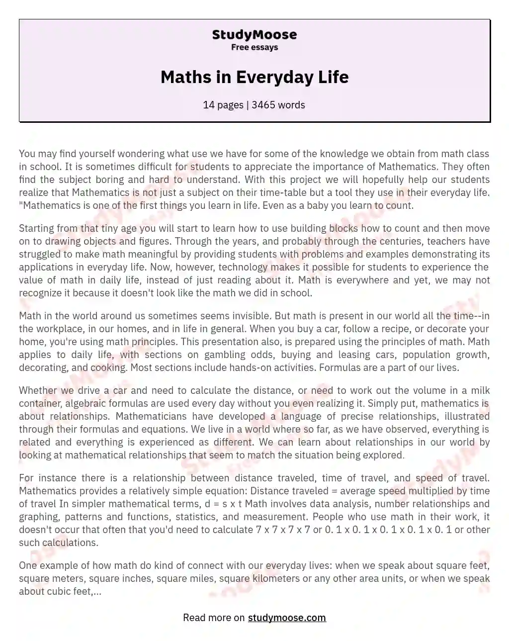 Maths in Everyday Life essay
