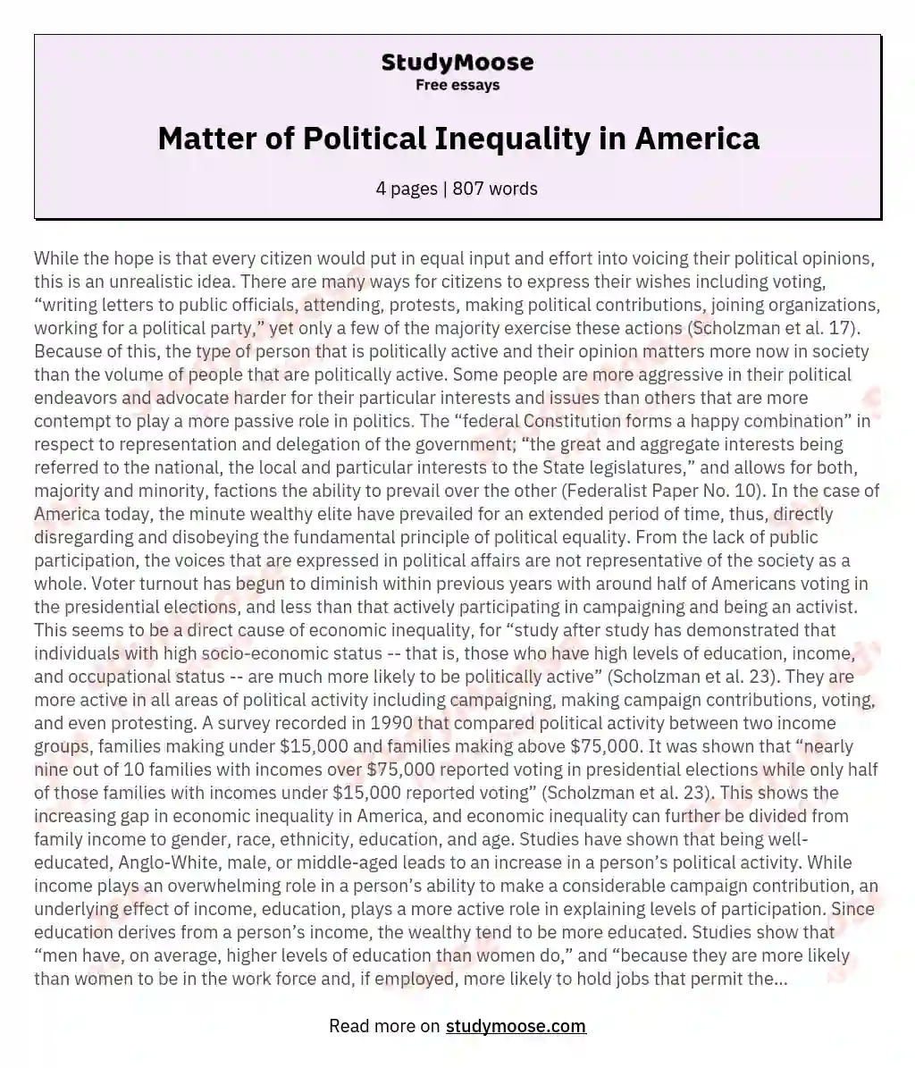 Matter of Political Inequality in America essay