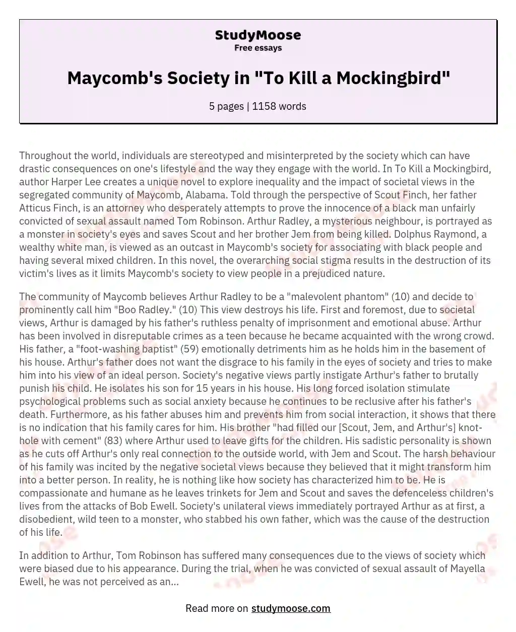 Maycomb's Society in "To Kill a Mockingbird" essay