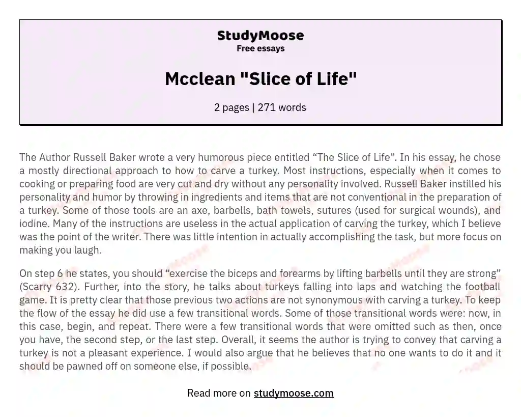 Mcclean "Slice of Life" essay