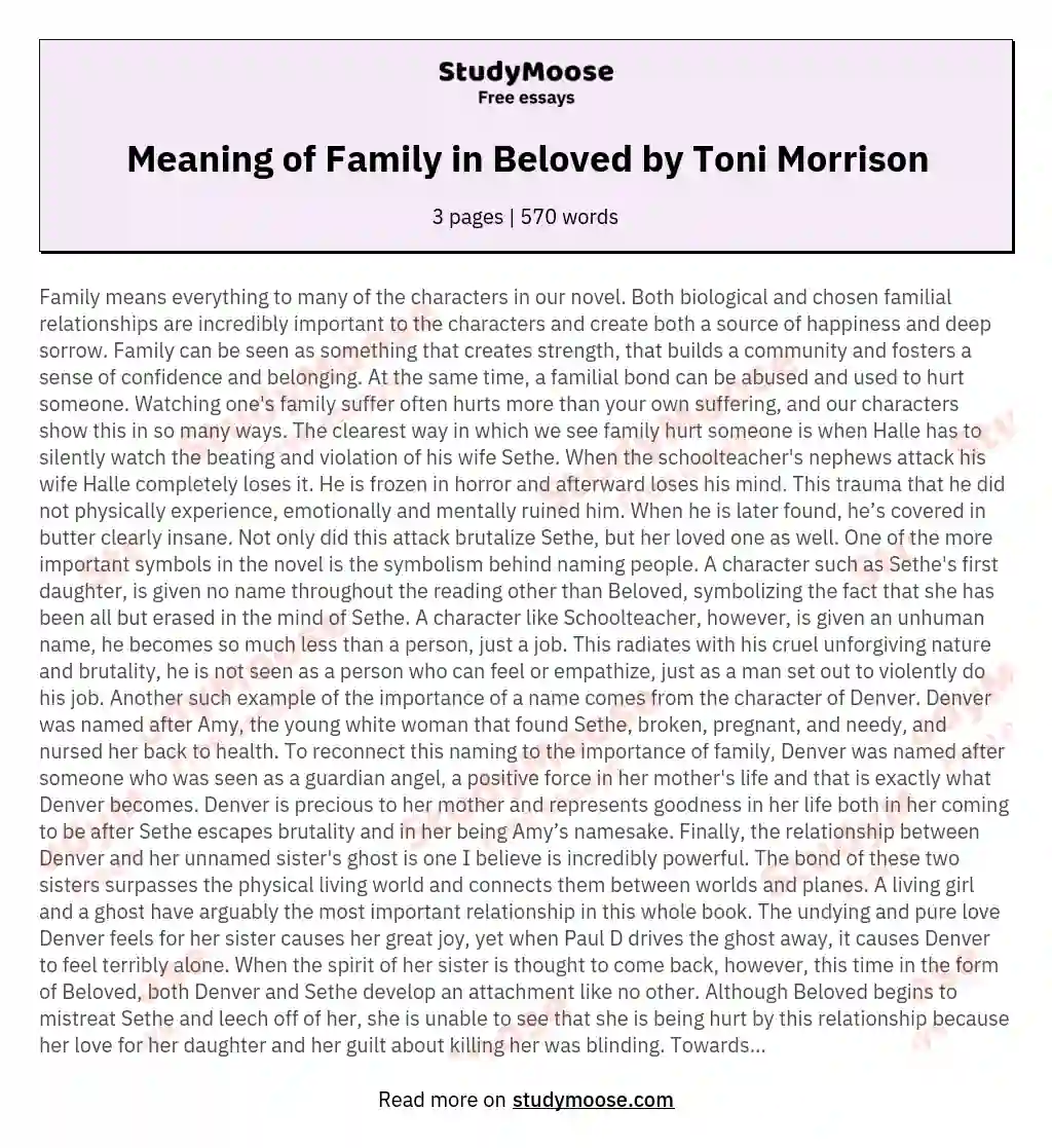 Meaning of Family in Beloved by Toni Morrison