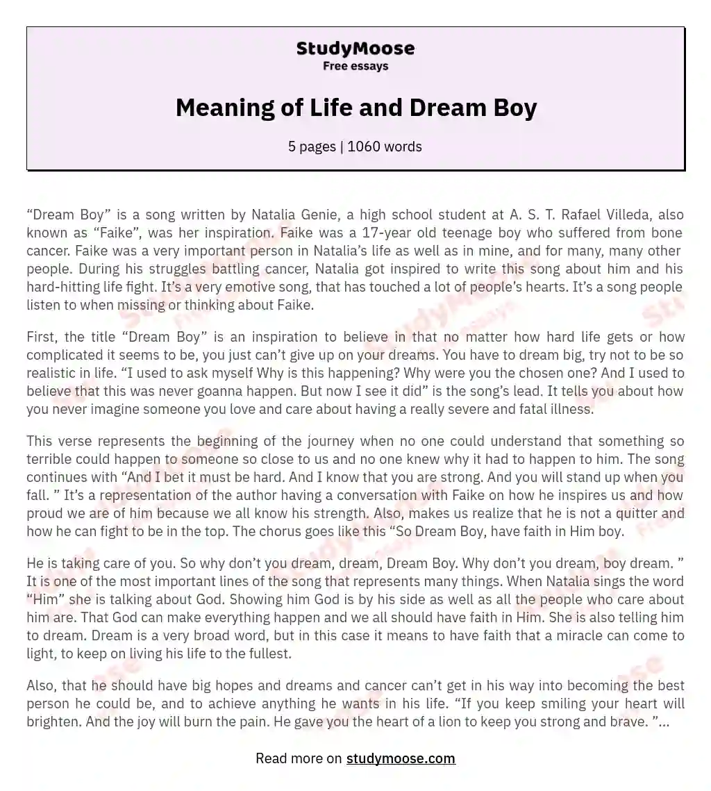 Meaning of Life and Dream Boy essay