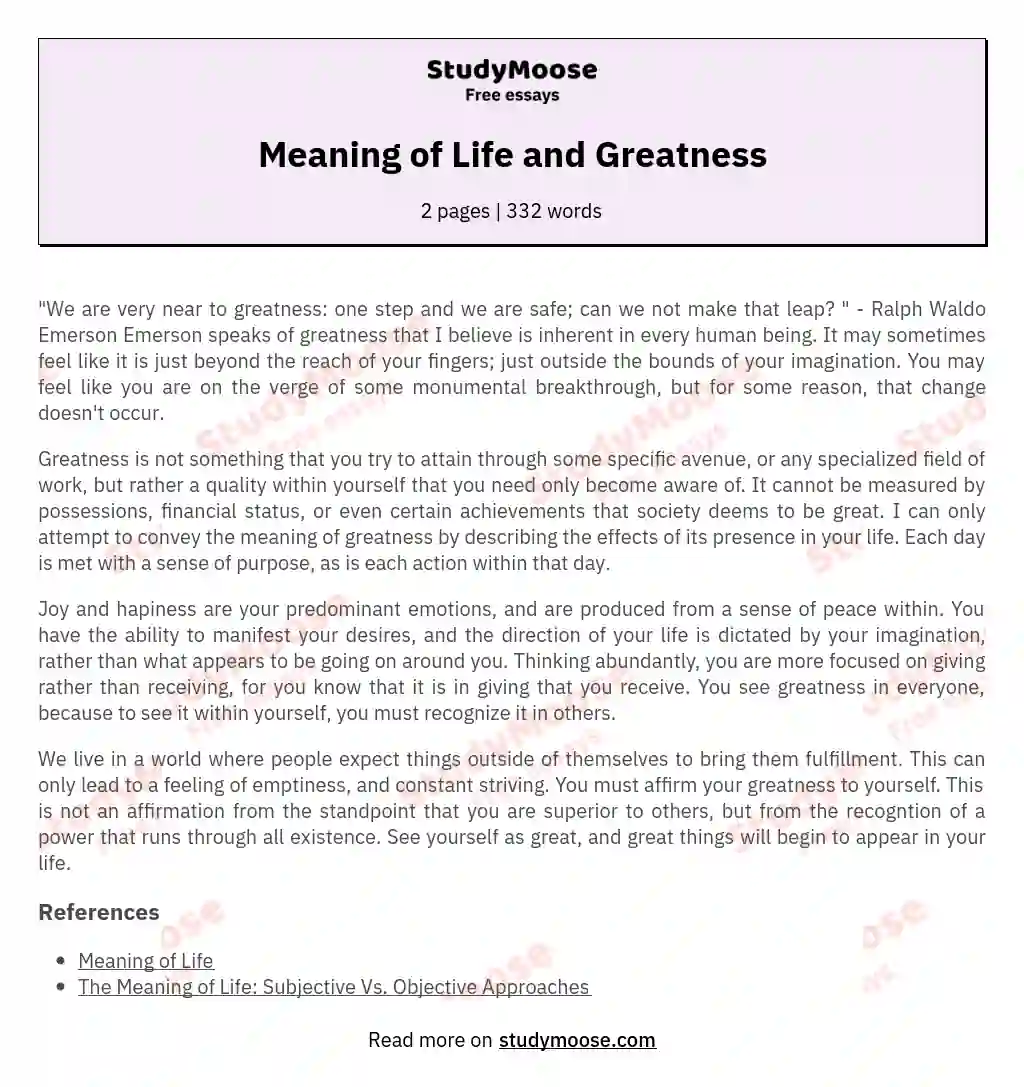Meaning of Life and Greatness essay