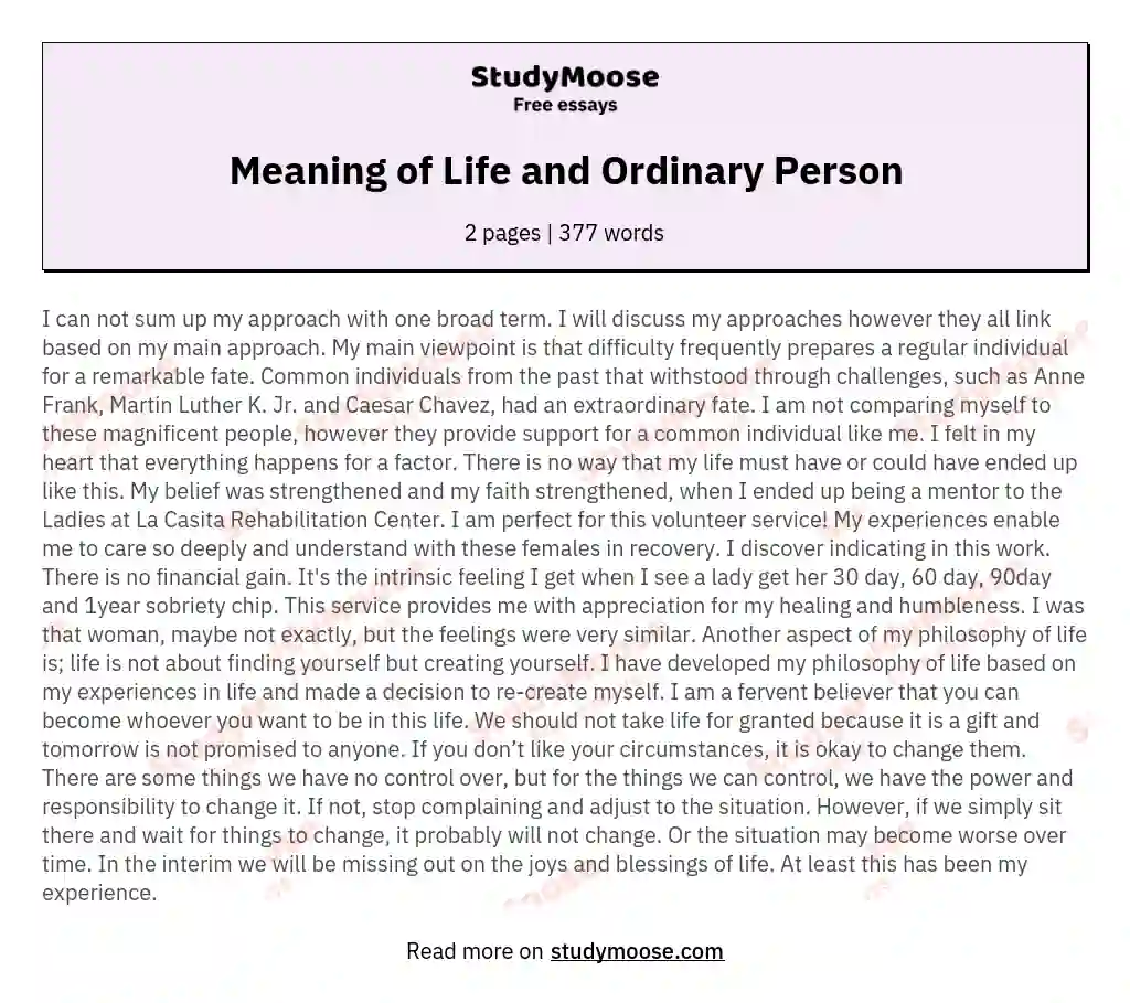 Meaning of Life and Ordinary Person essay