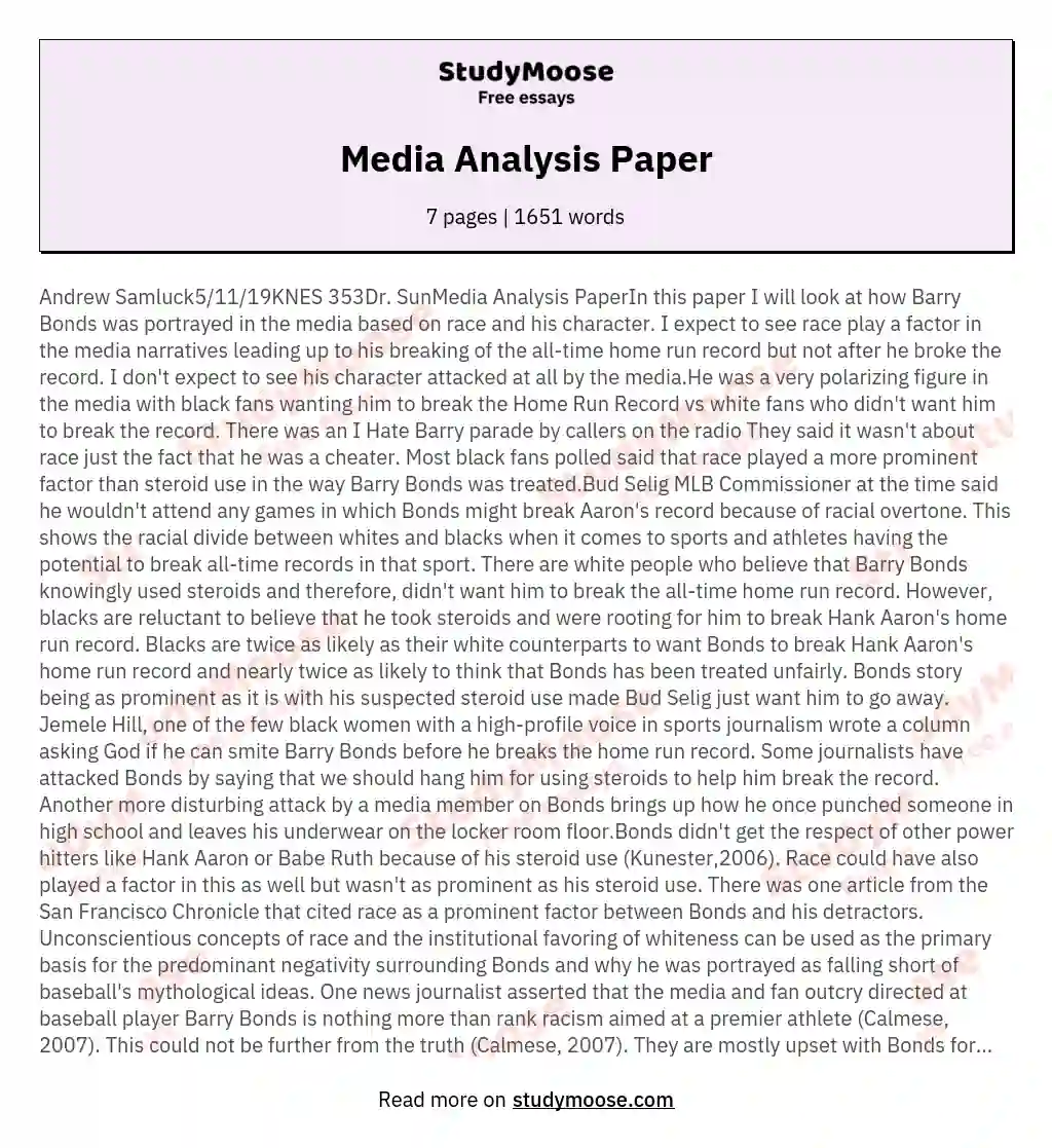 Media Analysis Paper essay
