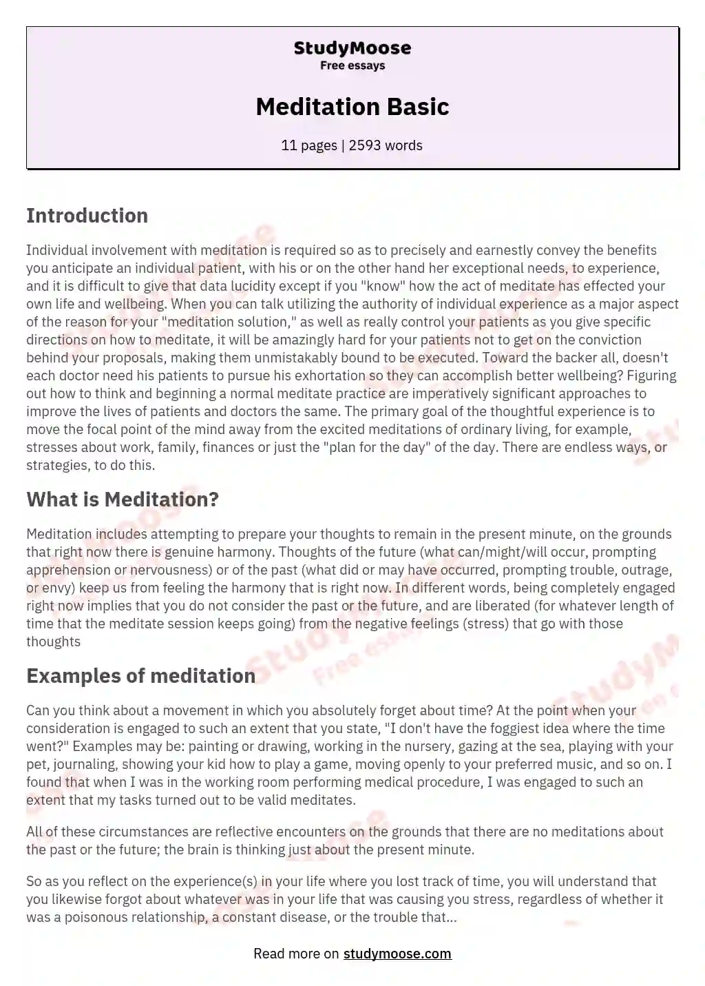 Meditation Basic essay