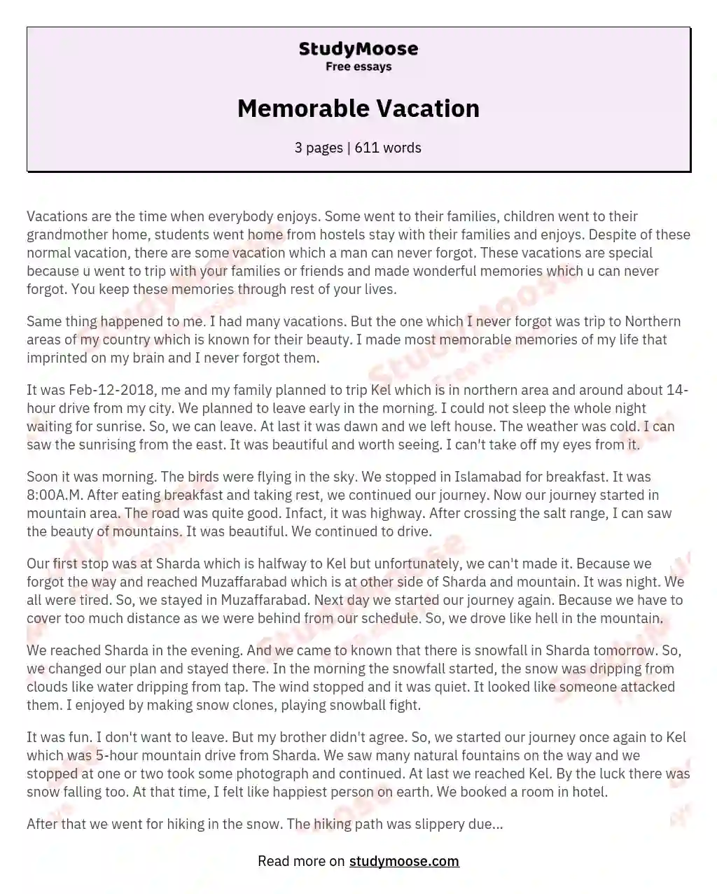 Memorable Vacation essay