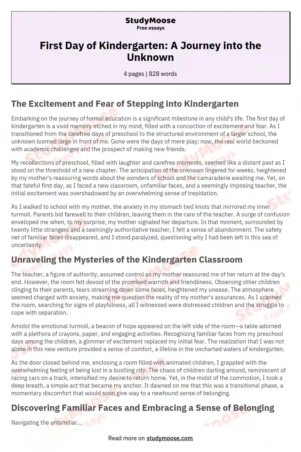 First Day of Kindergarten: A Journey into the Unknown essay