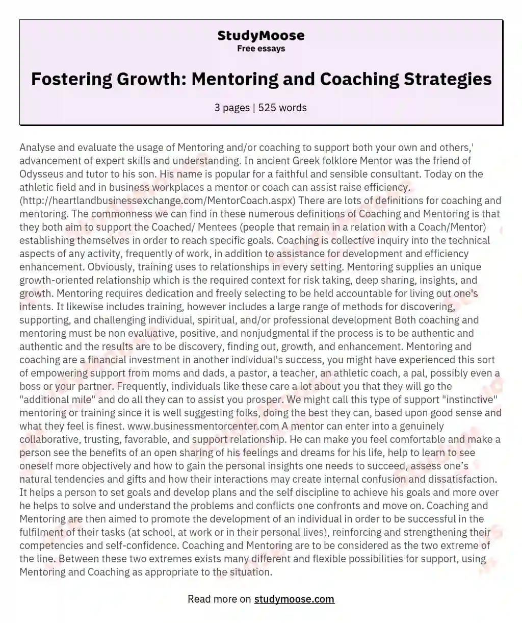 essay about coaching and mentoring