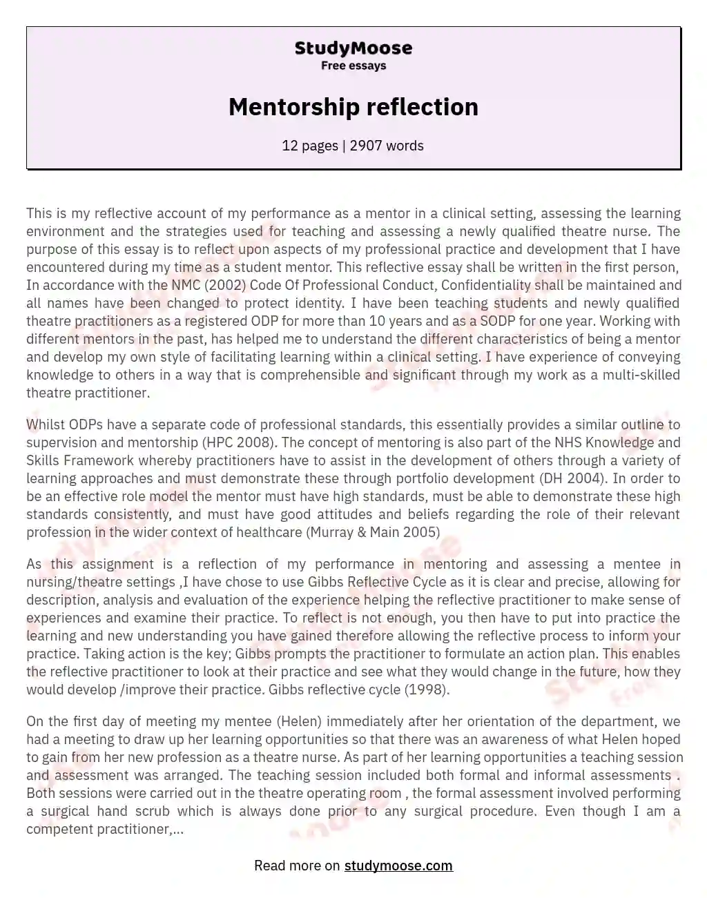 Mentorship reflection essay