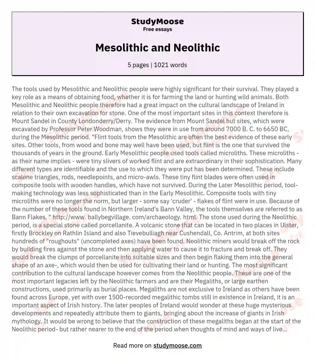 Mesolithic and Neolithic essay