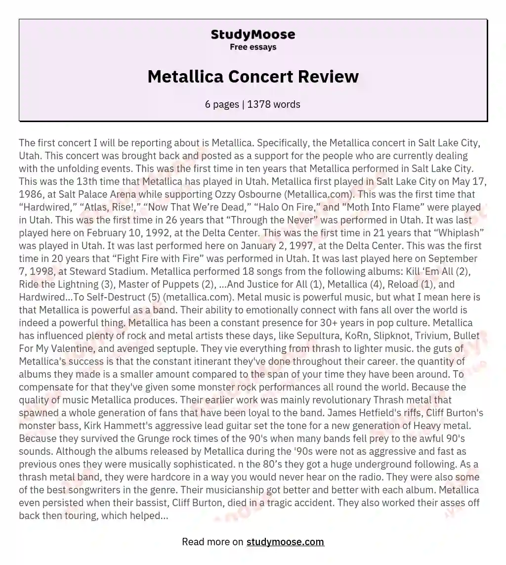 Metallica Concert Review essay