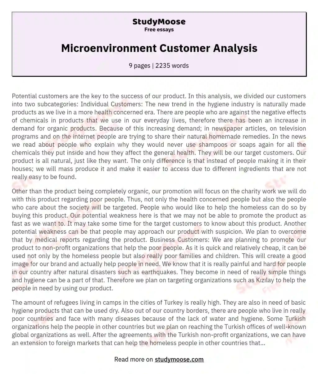Microenvironment Customer Analysis essay