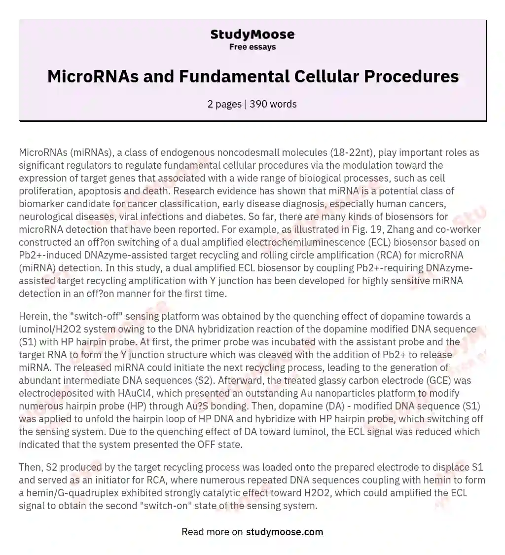 MicroRNAs and Fundamental Cellular Procedures essay