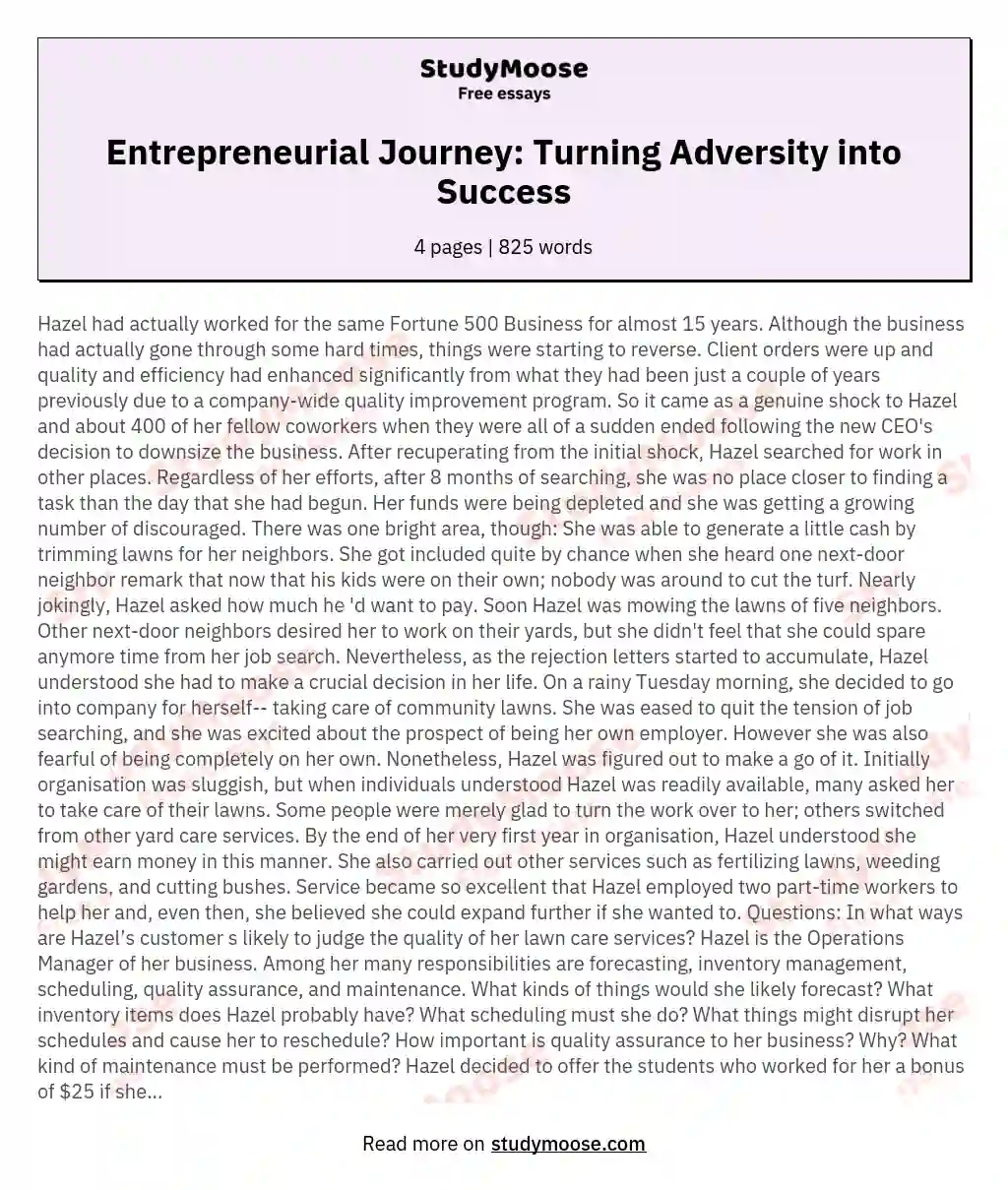 Entrepreneurial Journey: Turning Adversity into Success essay