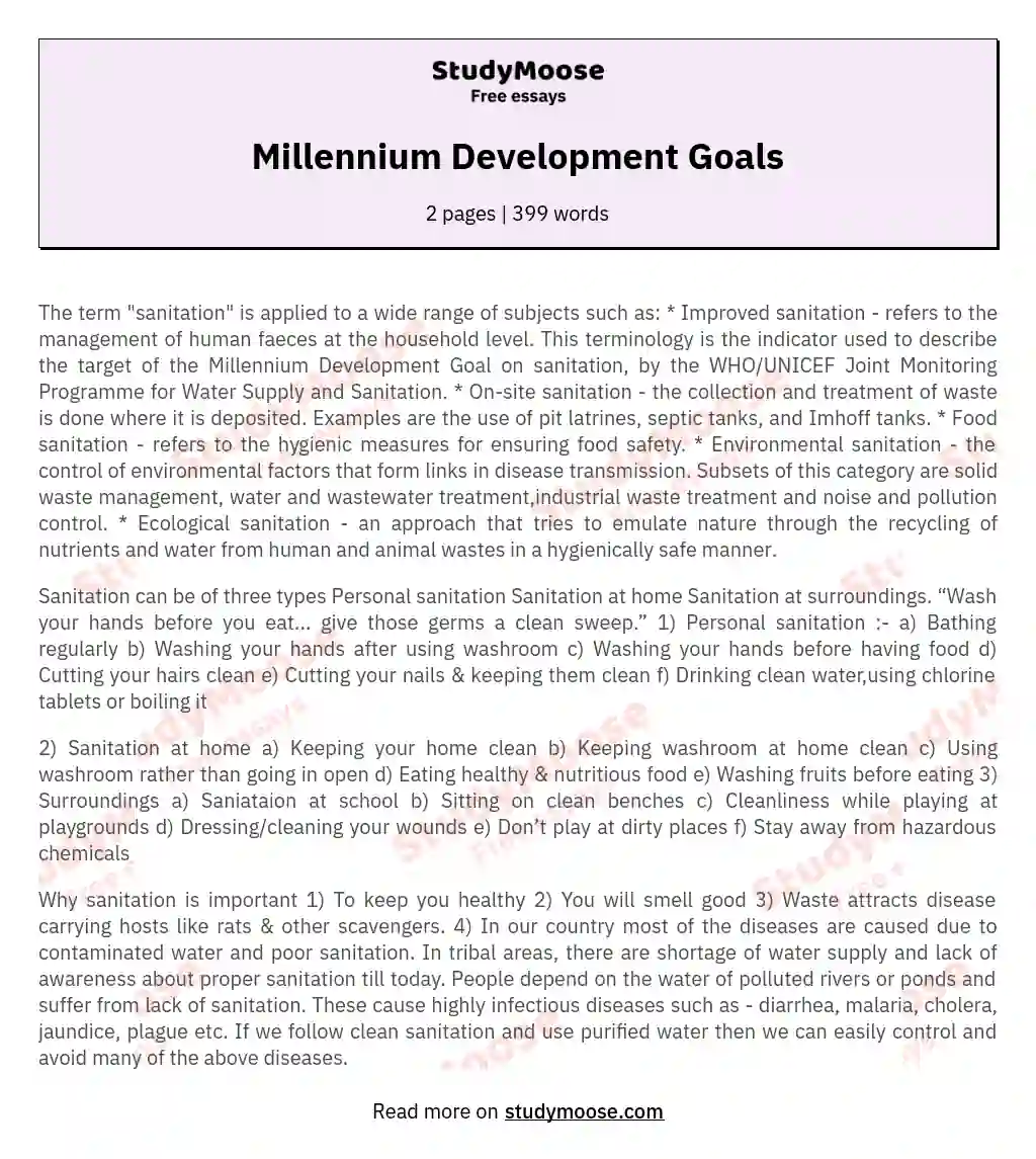 Millennium Development Goals essay