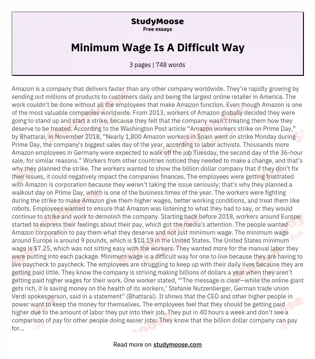 Minimum Wage Is A Difficult Way essay