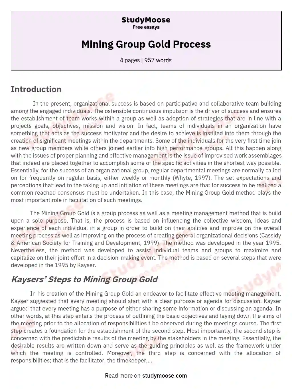 Mining Group Gold Process essay