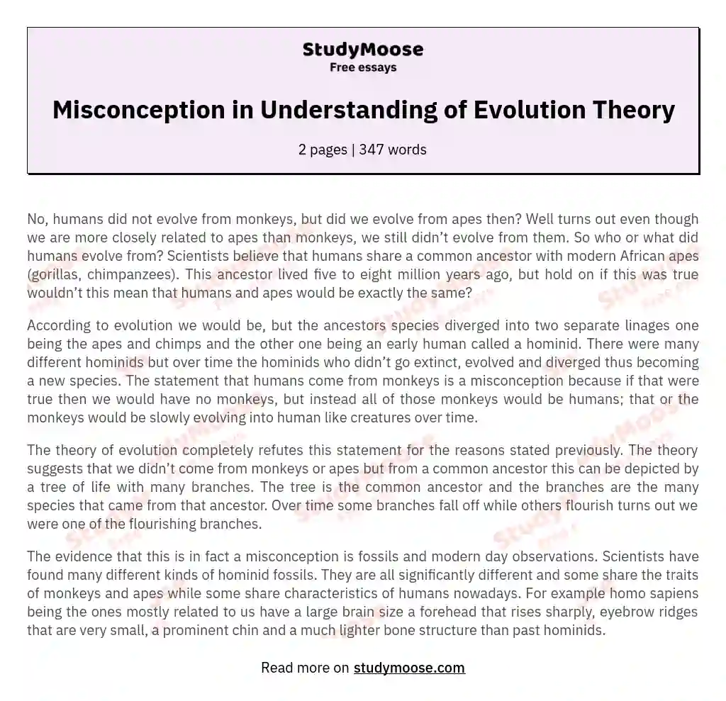 Misconception in Understanding of Evolution Theory essay
