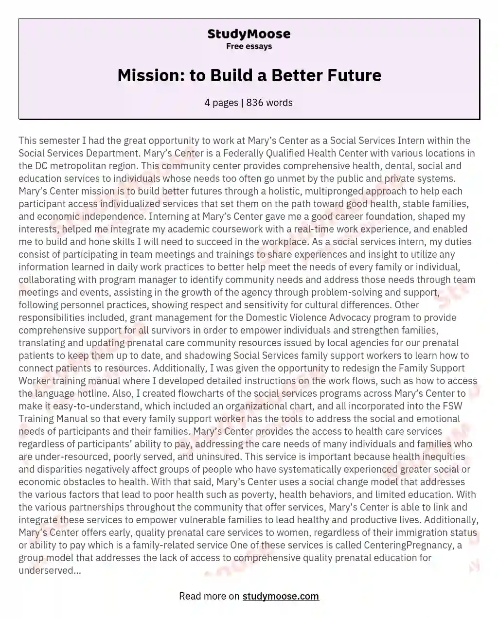 Mission: to Build a Better Future essay