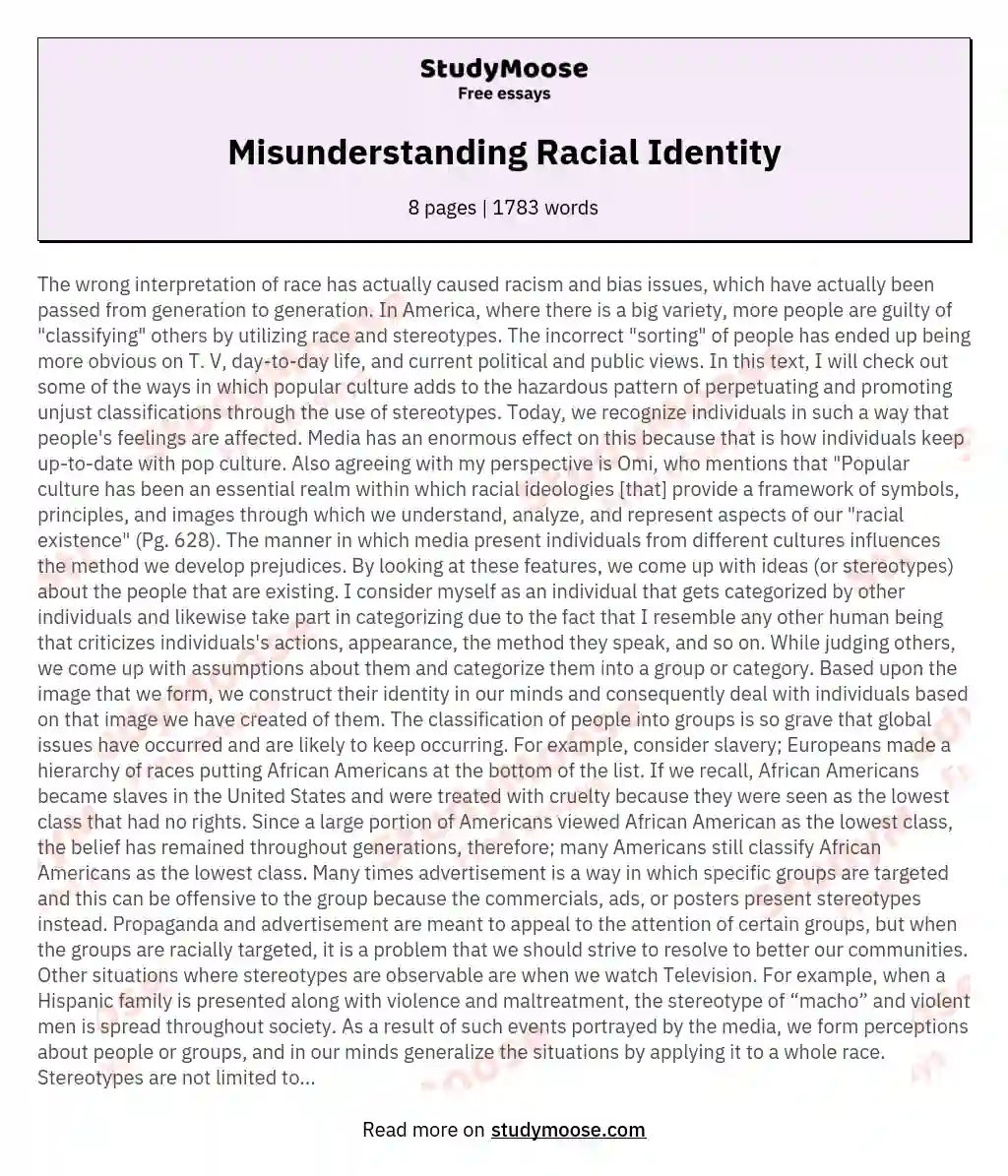 Misunderstanding Racial Identity essay