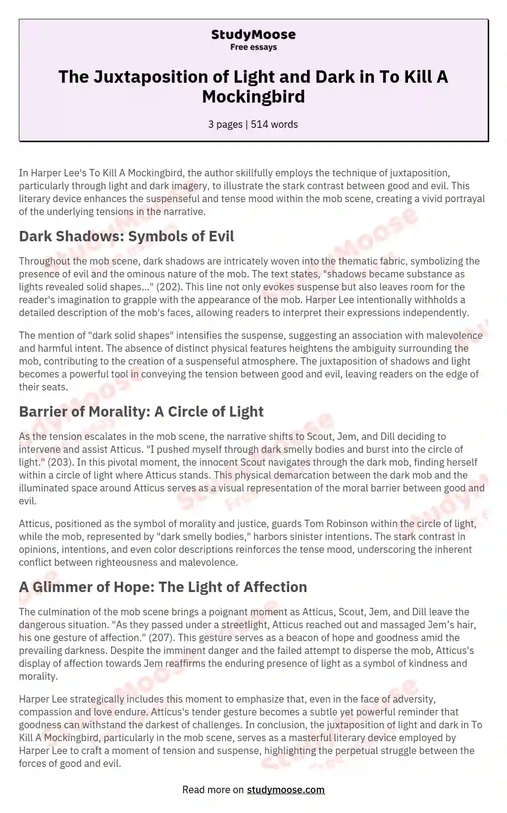 The Juxtaposition of Light and Dark in To Kill A Mockingbird essay