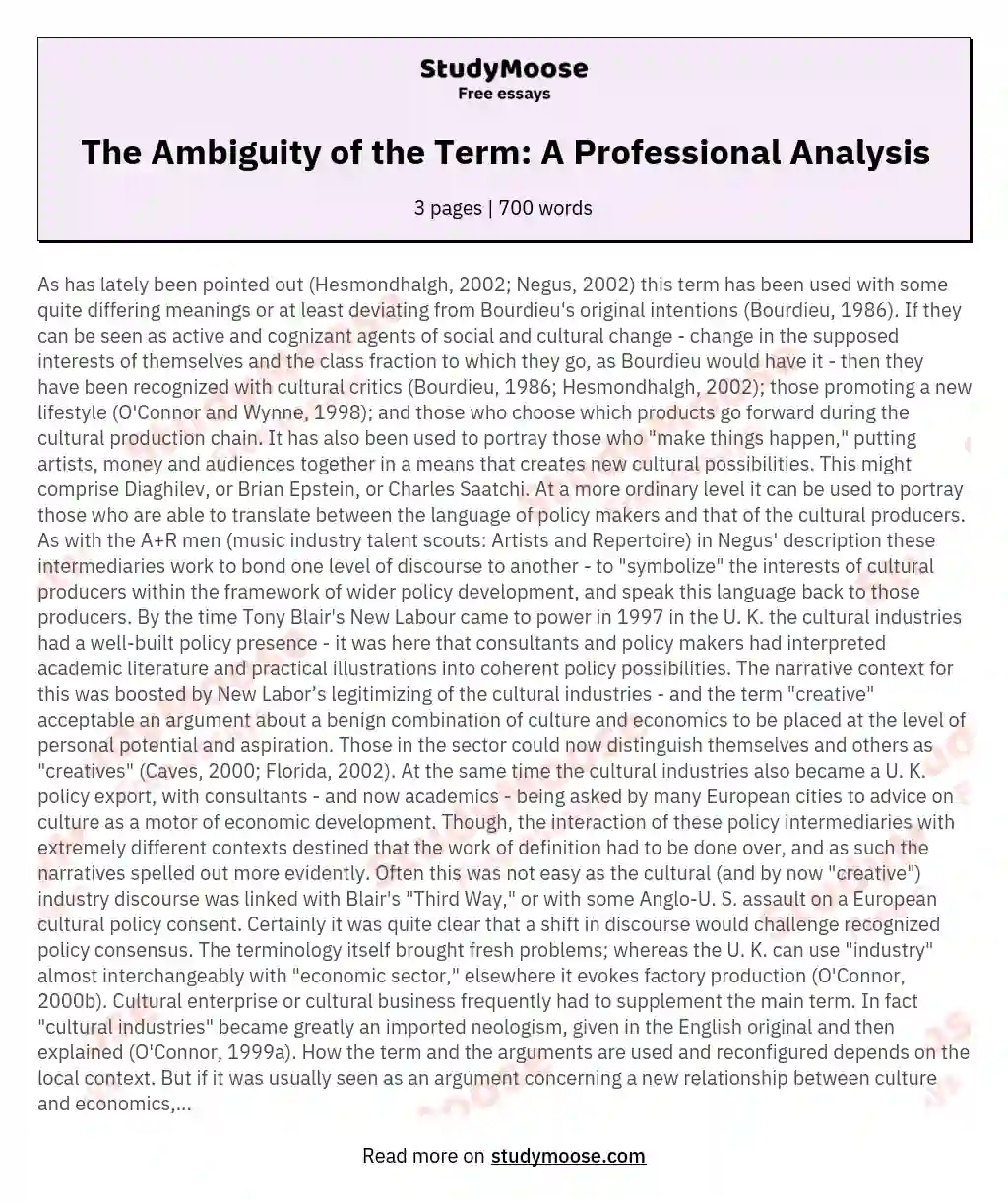 The Ambiguity of the Term: A Professional Analysis essay