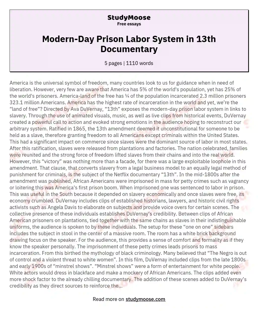 Modern-Day Prison Labor System in 13th Documentary essay