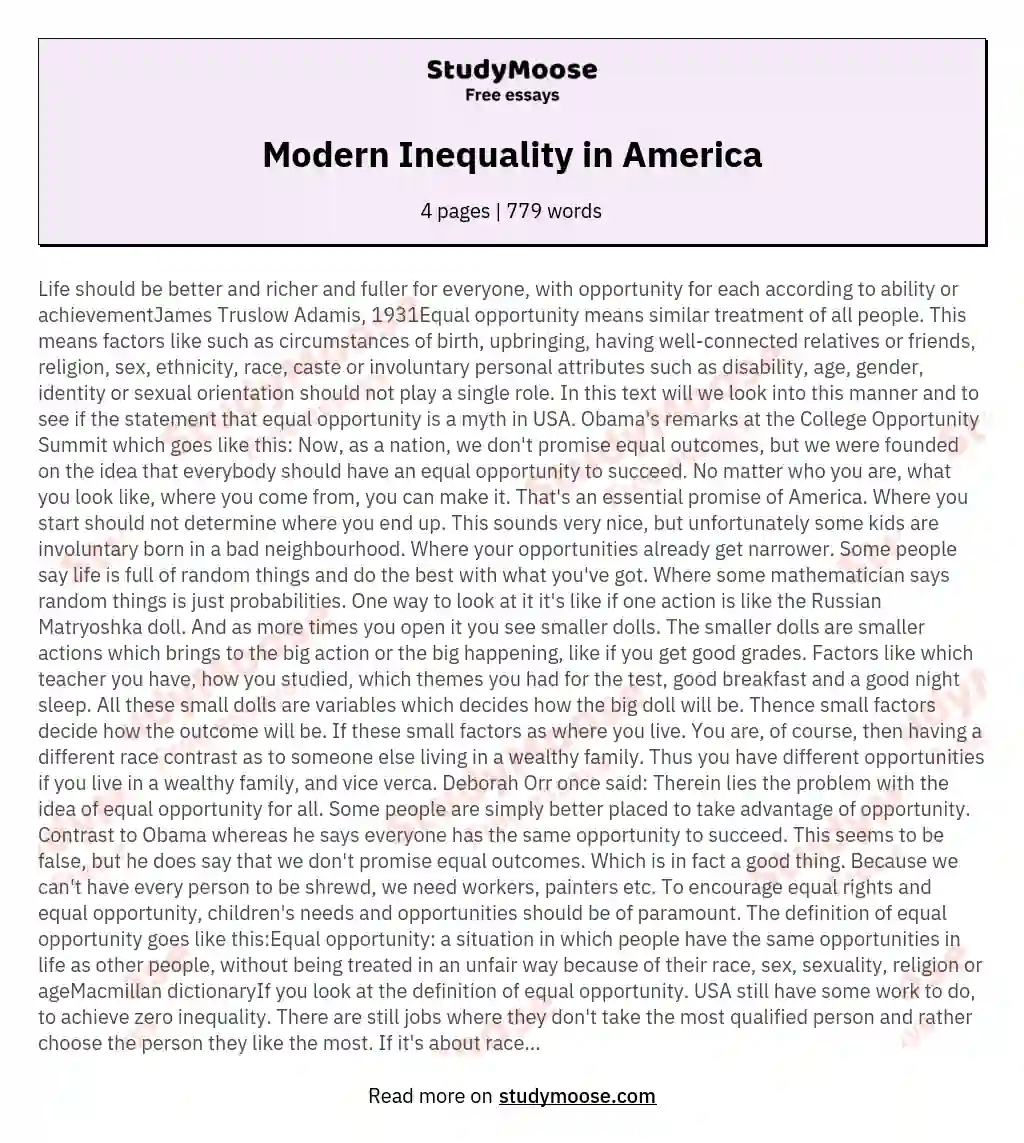 Modern Inequality in America essay