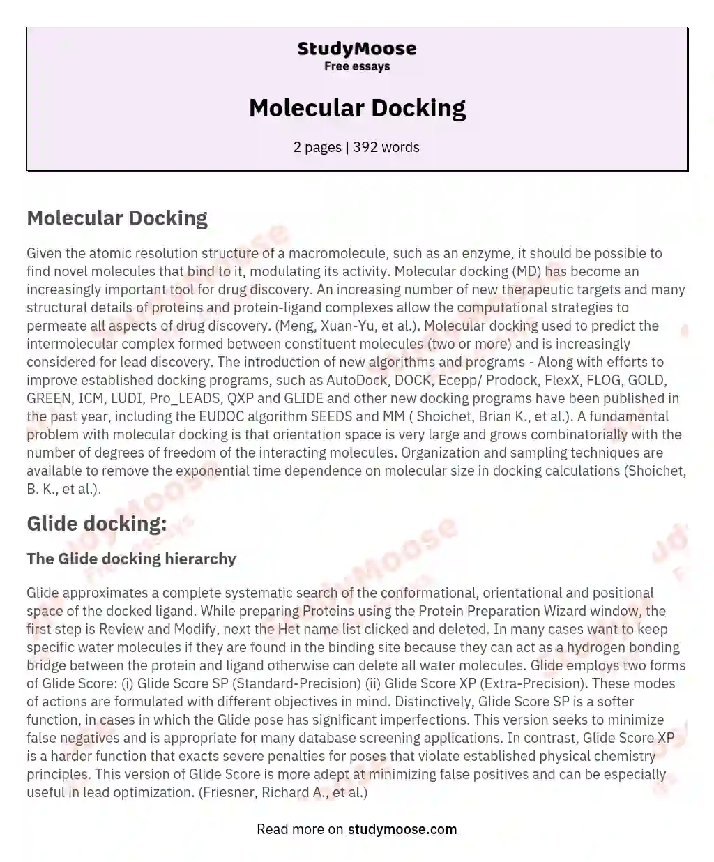 Molecular Docking essay