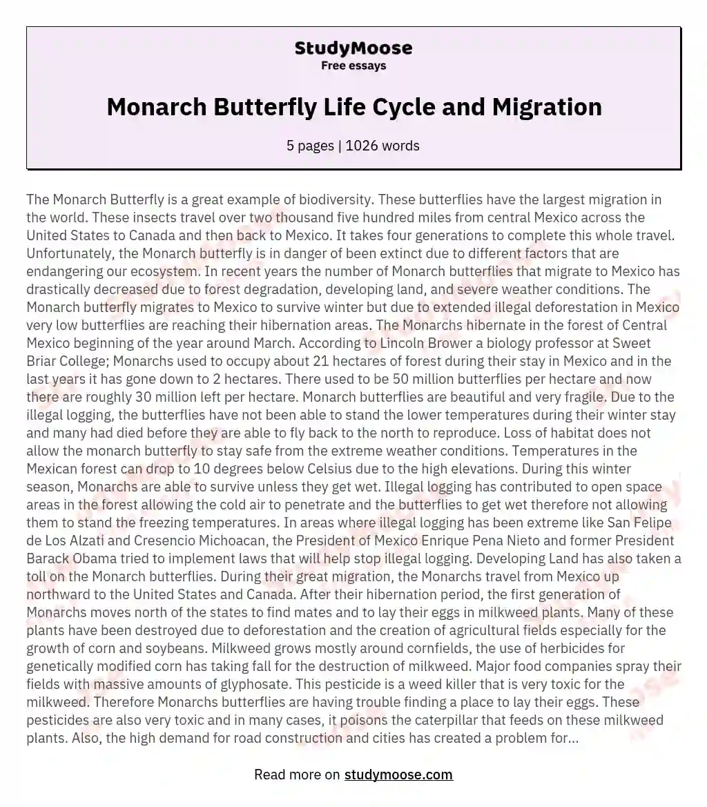 Monarch Butterfly Life Cycle and Migration essay