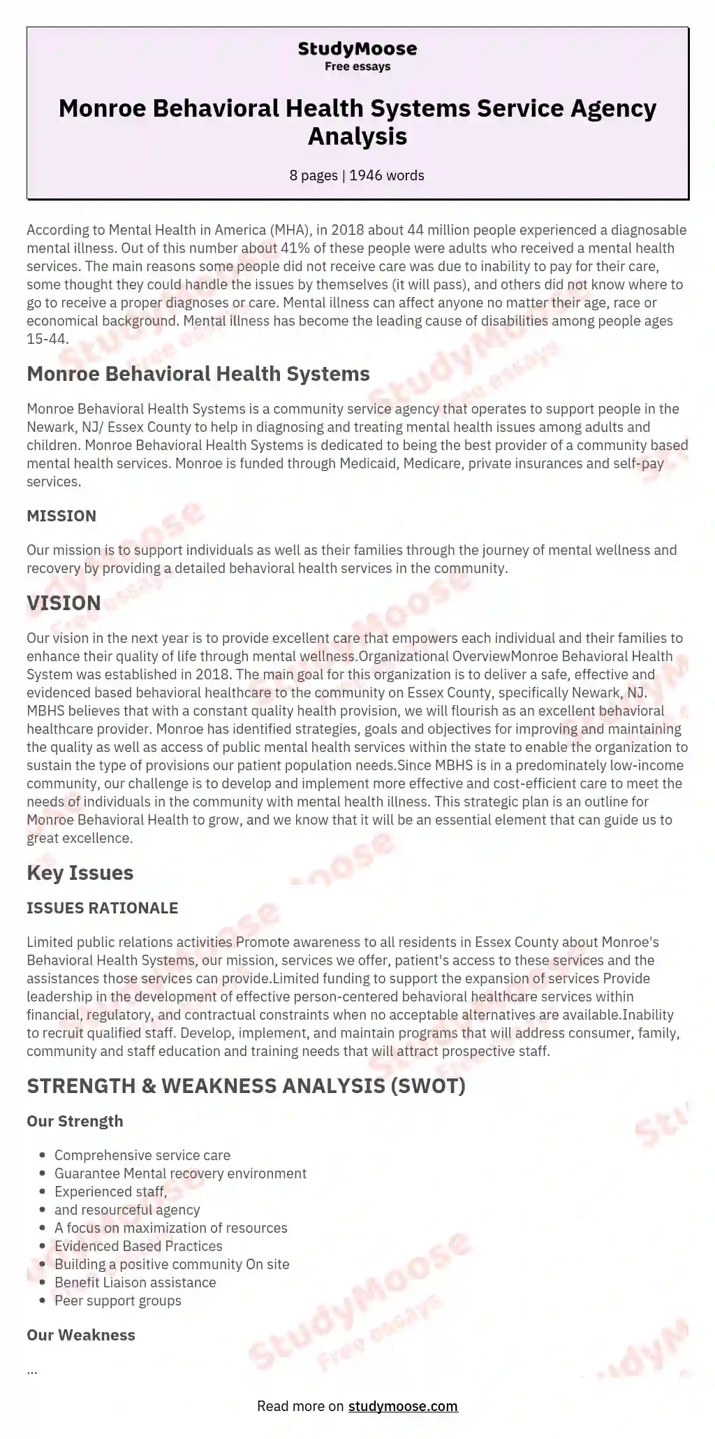 Monroe Behavioral Health Systems Service Agency Analysis essay