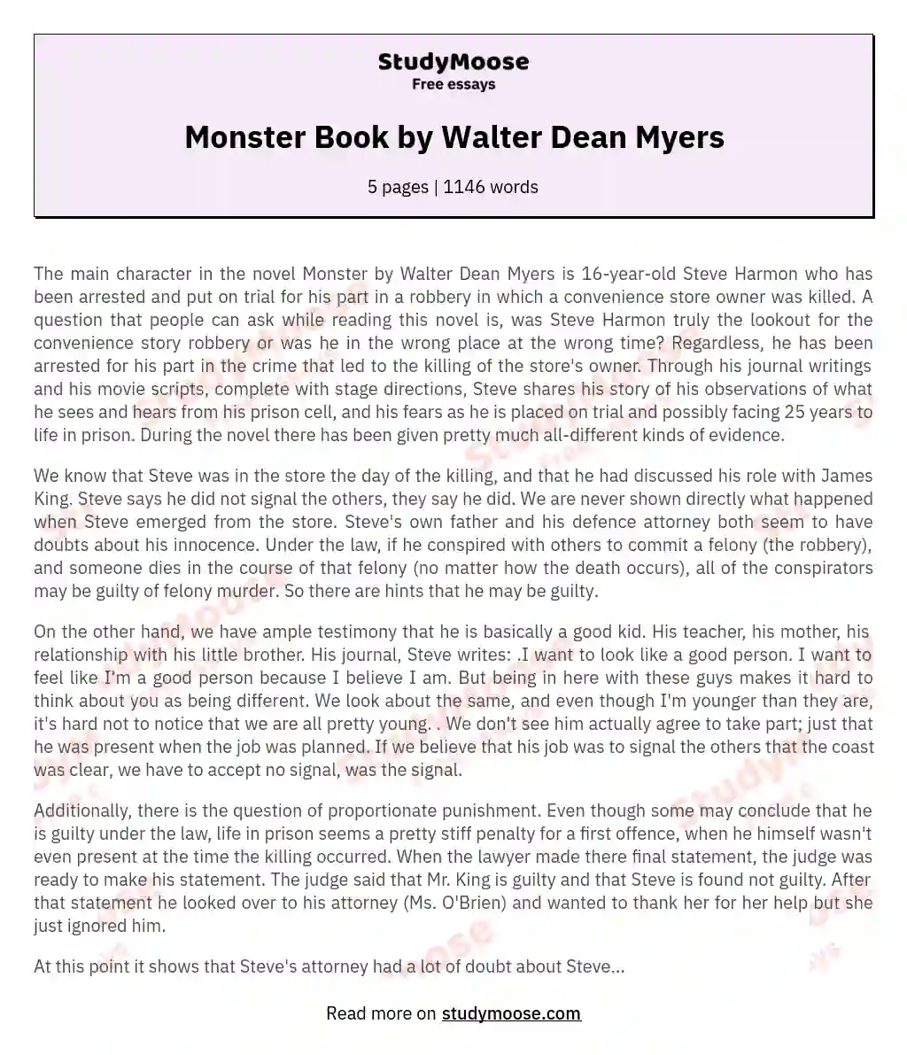Monster Book by Walter Dean Myers essay