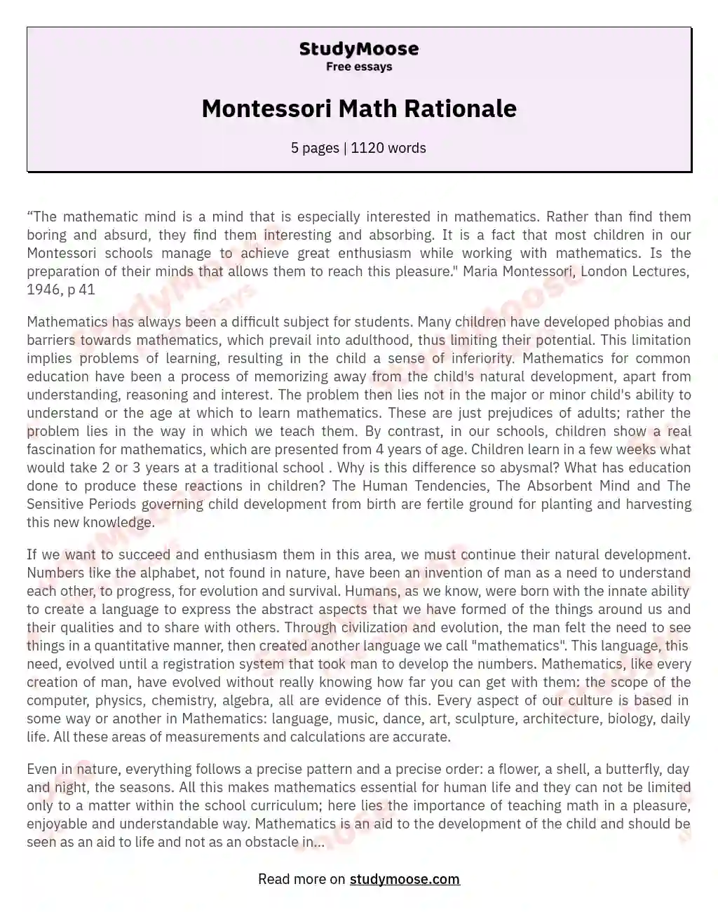 Montessori Math Rationale essay