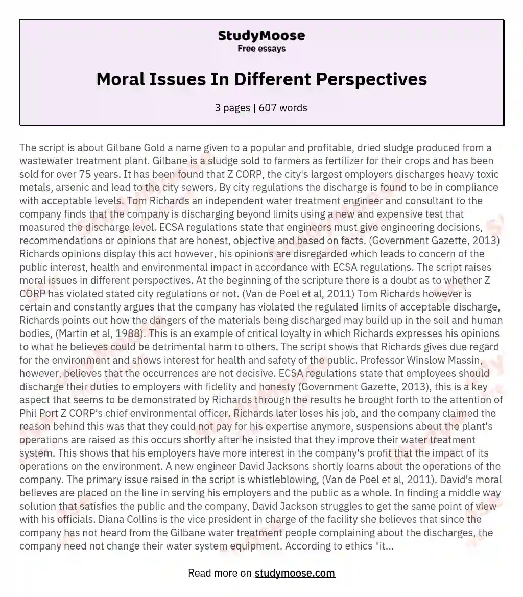 Moral Issues In Different Perspectives