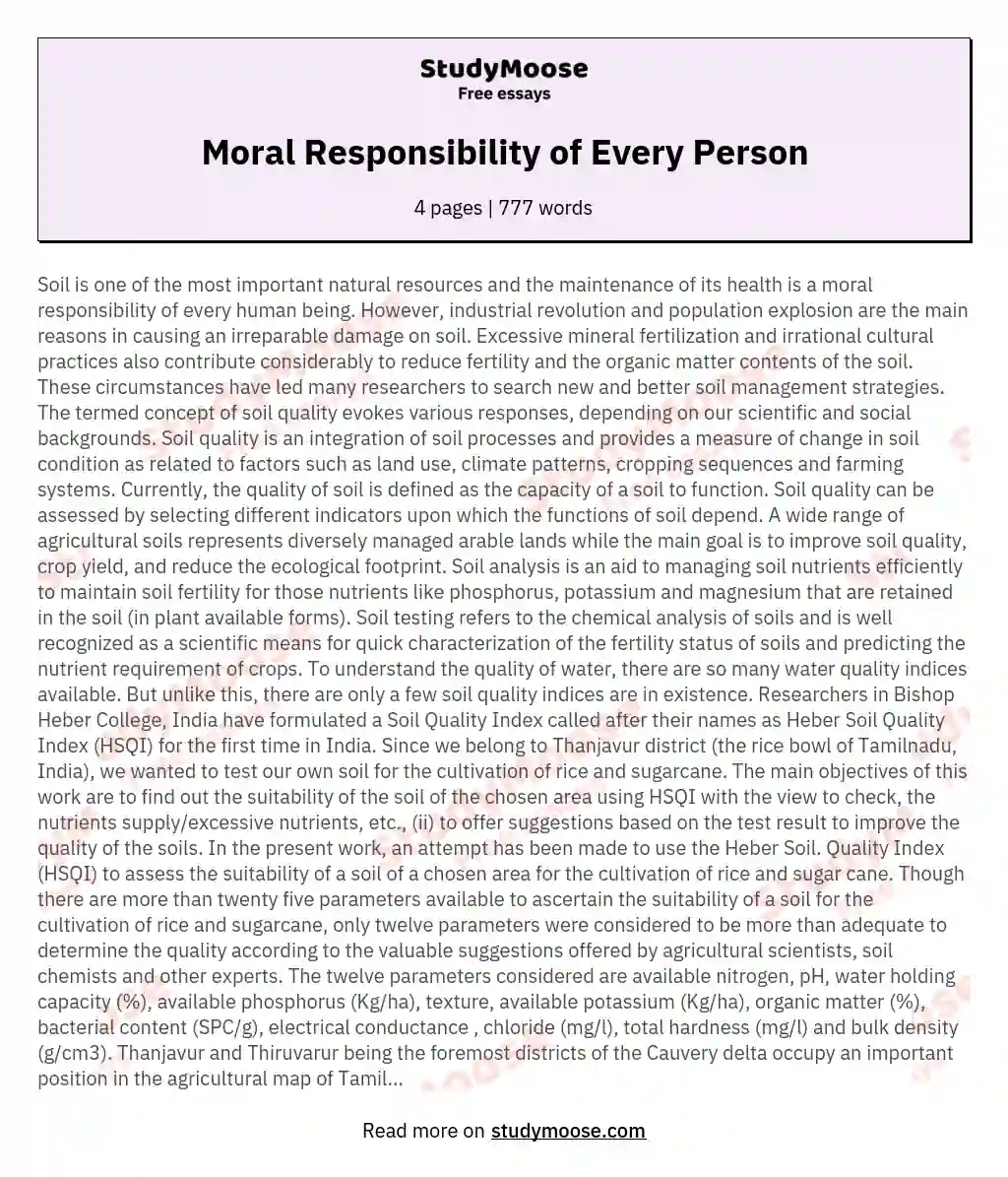 Moral Responsibility of Every Person essay