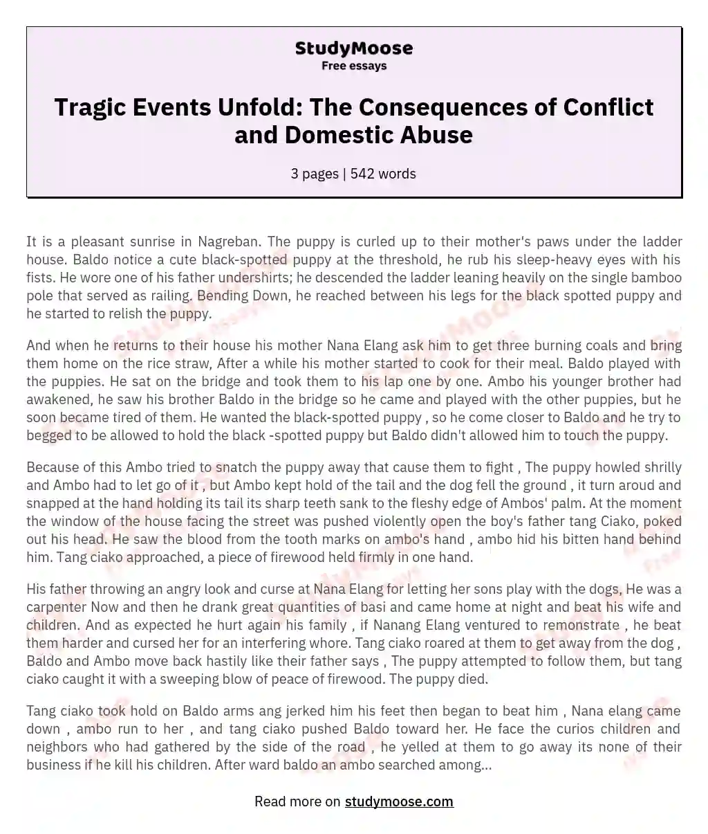 Tragic Events Unfold: The Consequences of Conflict and Domestic Abuse essay