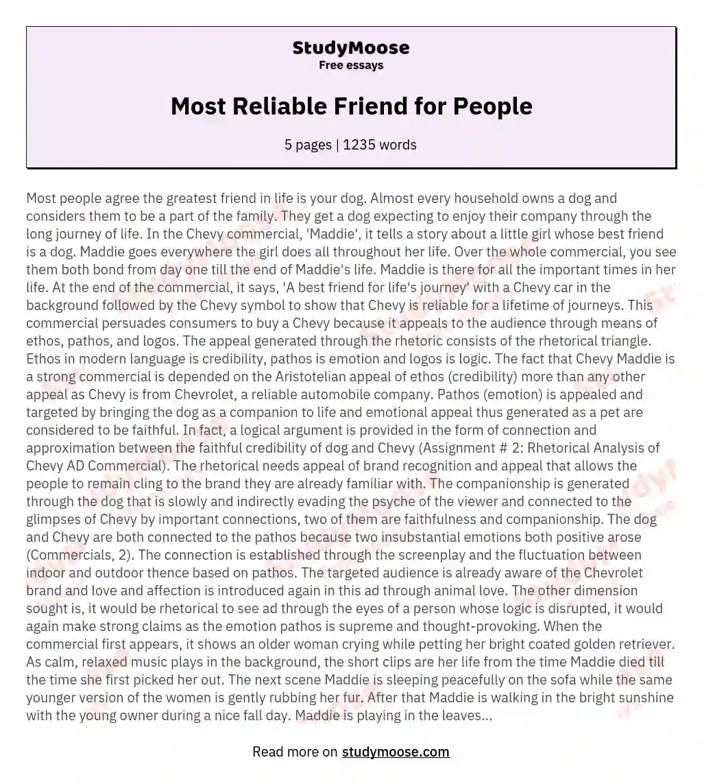 Most Reliable Friend for People essay