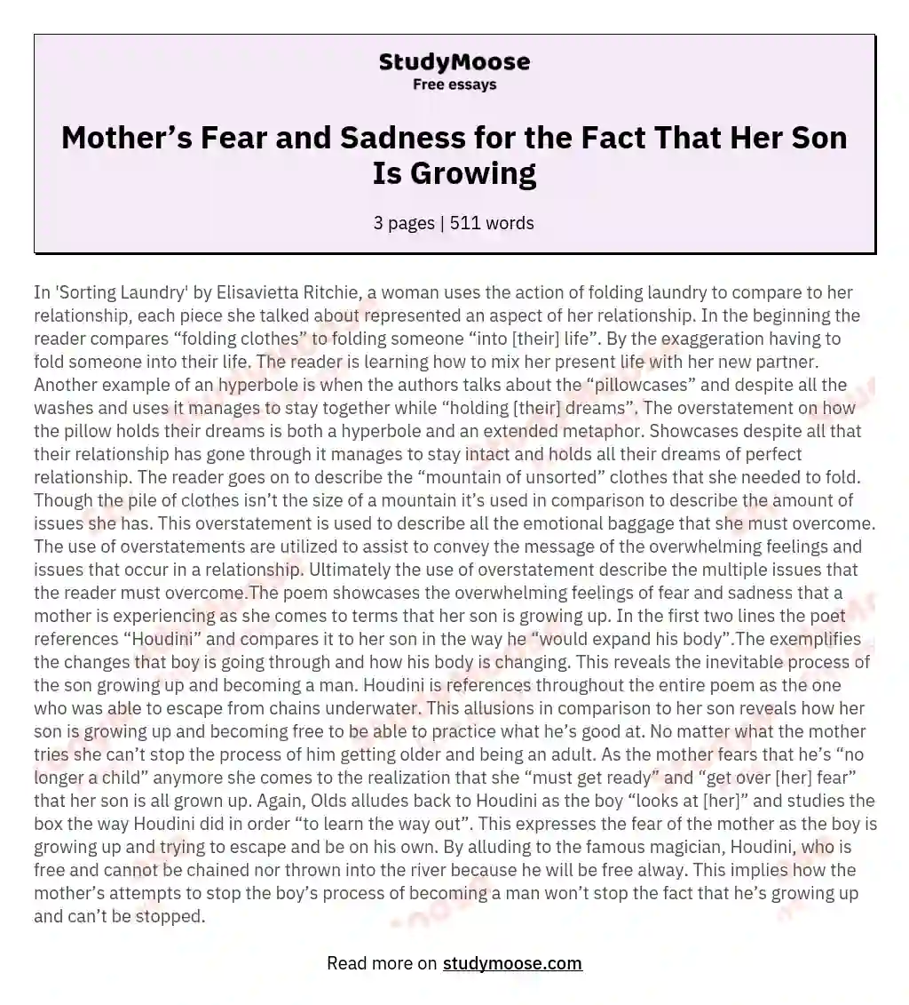 Mother’s Fear and Sadness for the Fact That Her Son Is Growing essay