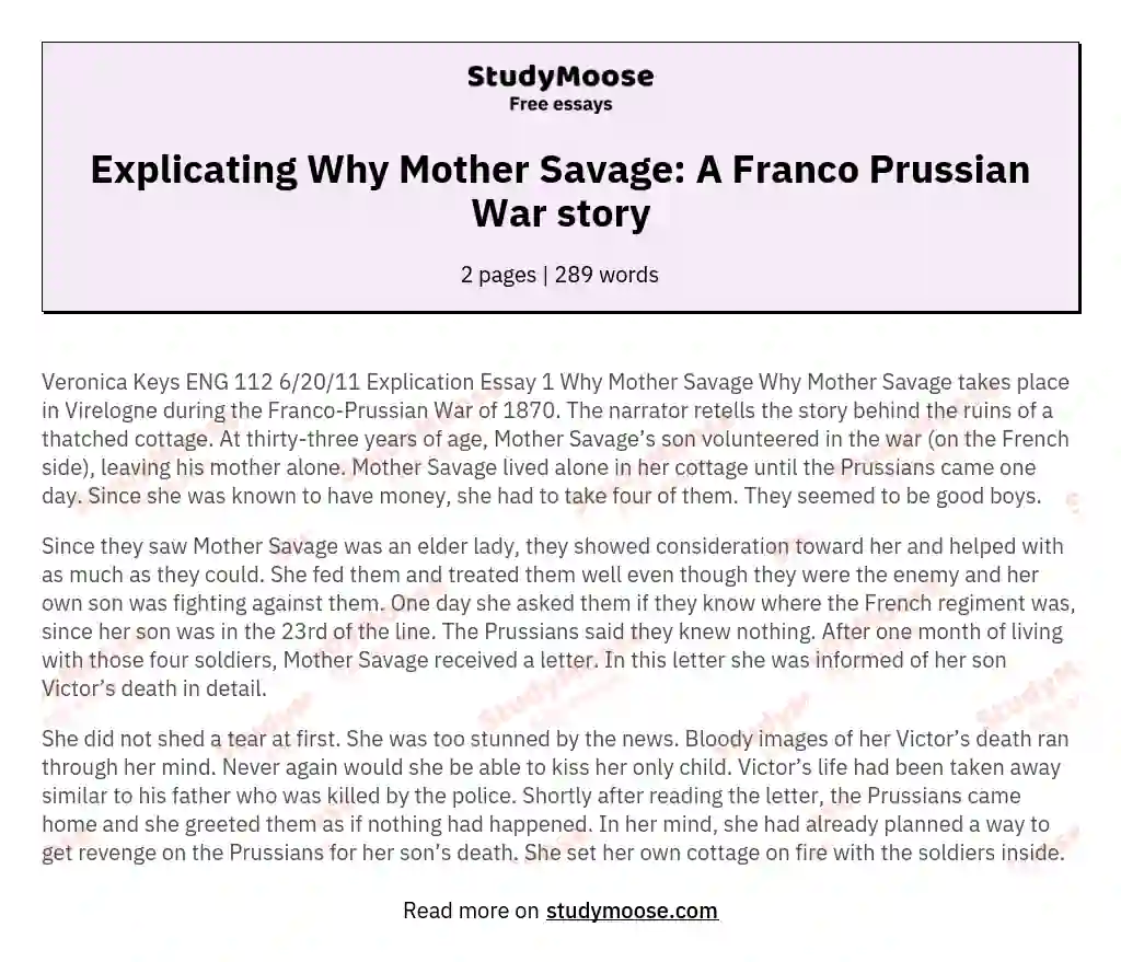 Explicating Why Mother Savage: A Franco Prussian War story essay