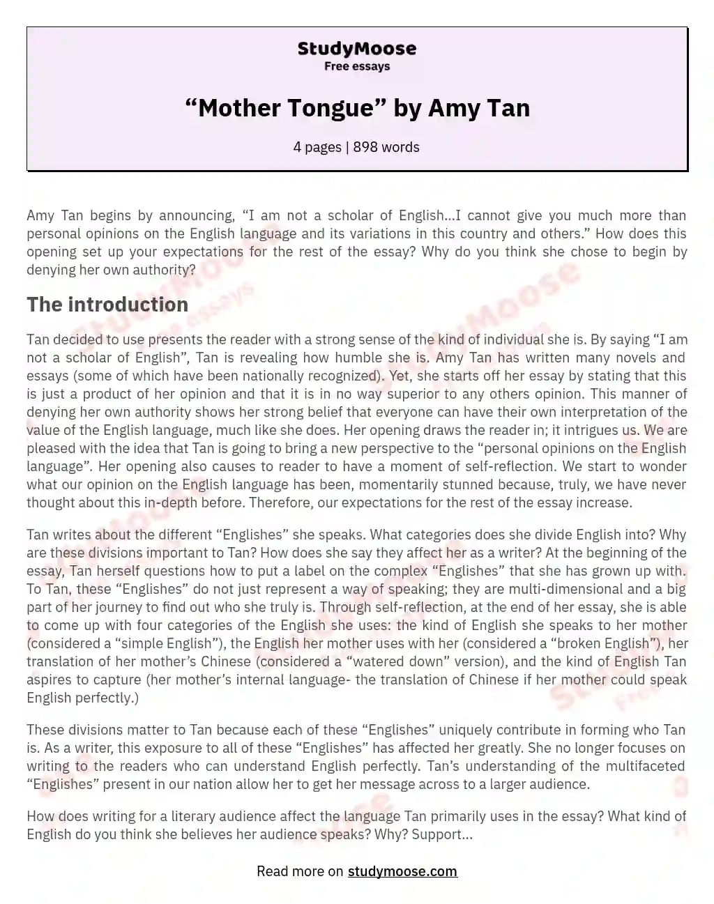 “Mother Tongue” by Amy Tan essay