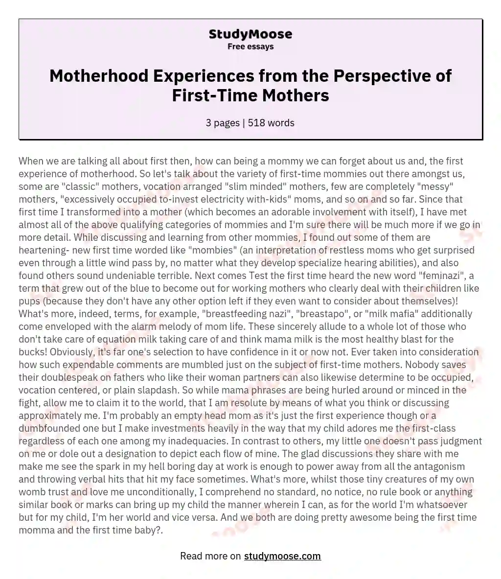 Motherhood Experiences from the Perspective of First-Time Mothers essay