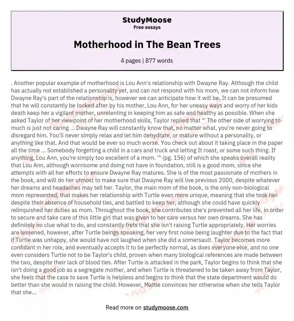 Motherhood in The Bean Trees essay