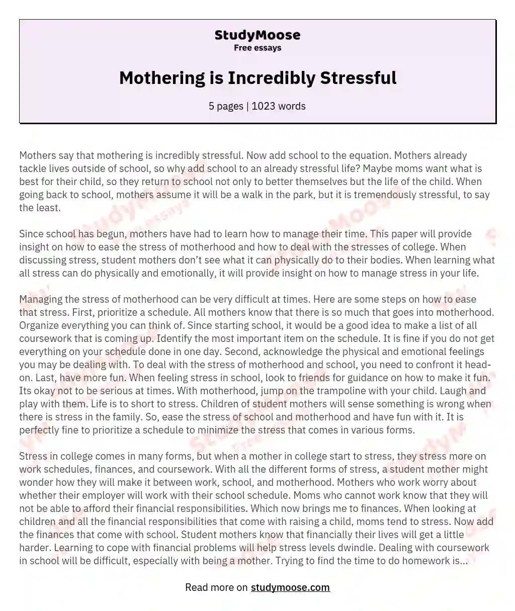 Mothering is Incredibly Stressful essay