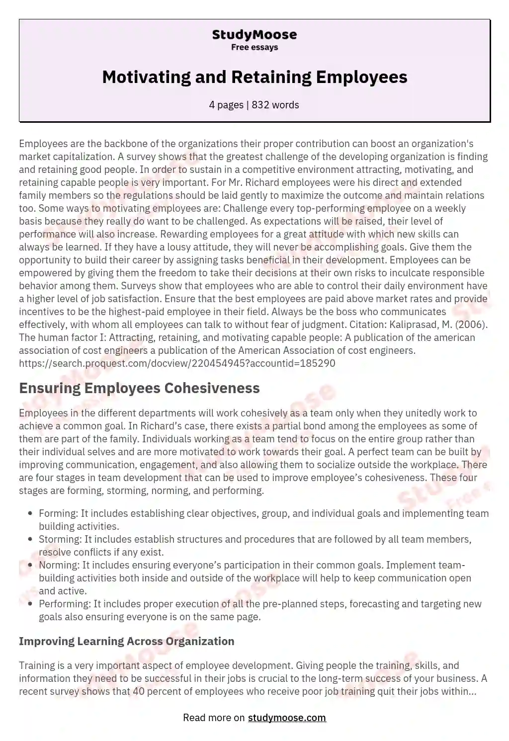 Motivating and Retaining Employees essay